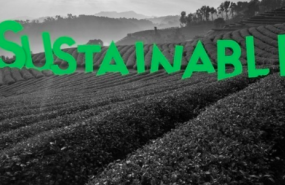 1579868041 screenshot 2020 01 24 at 131431