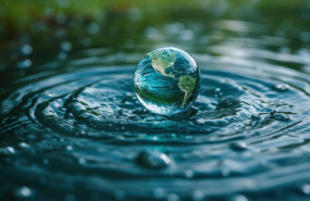 2151196384 2151196384