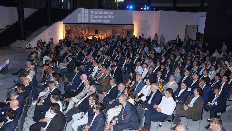 andalusian commodity exchange 20260428113832 andalusian commodity exchange 20260428113832