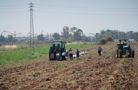 ep archivo   ccoo valora un registro positivo de la epa en el empleo del sector agrario pero
