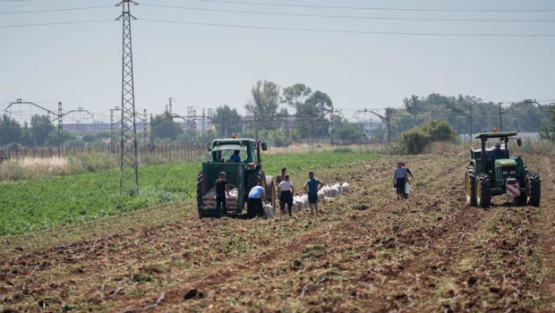 ep archivo   ccoo valora un registro positivo de la epa en el empleo del sector agrario pero