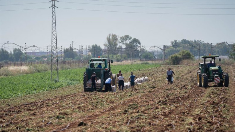 ep archivo   ccoo valora un registro positivo de la epa en el empleo del sector agrario pero