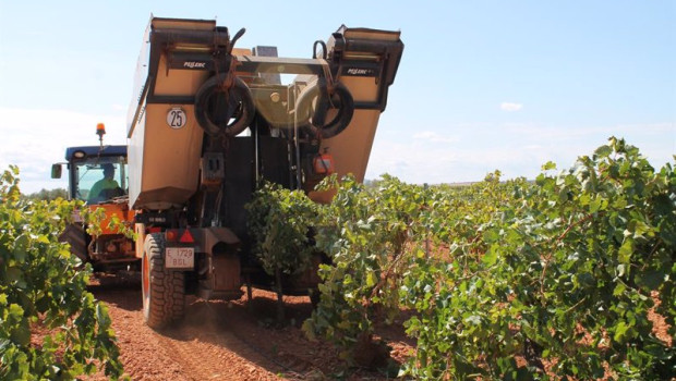 ep archivo   un trabajador utiliza un tractor para recoger uvas de una cosecha en la vendimia
