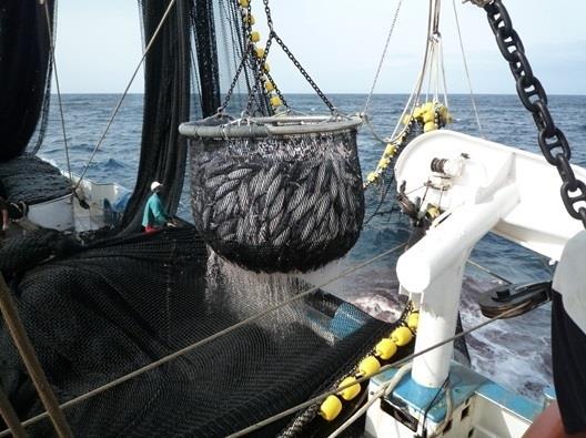 ep barco atuneropesca