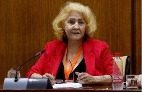 ep carmen flores presidenta de asociacion defensor del paciente en una comparecencia en el
