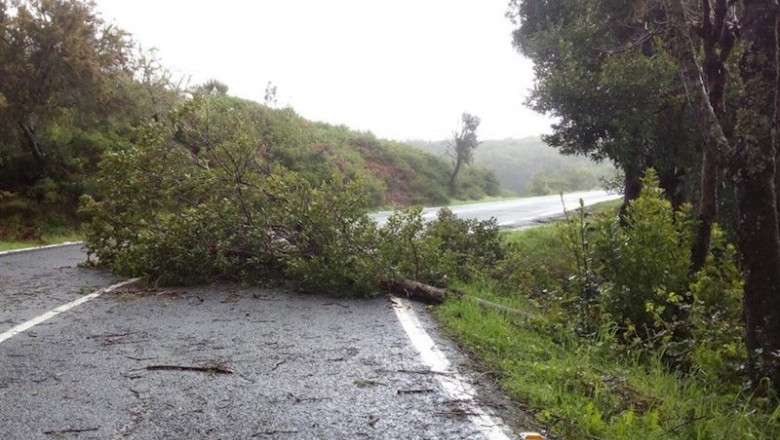 Daños causados por un temporal de viento en la isla de La Gomera | CEDIDA - Archivo ep danos causados por un temporal de viento en la isla de la gomera