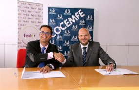 ep federcocemfe formalizansinergialas personaserdiscapacidad f