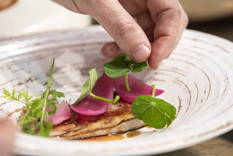 ep gastronoma