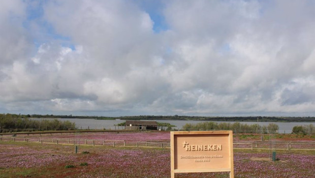 ep los proyectos de heineken en donana en el ultimo ano han permitido retornar 1300 millones de ep los proyectos de heineken en donana en el ultimo ano han permitido retornar 1300 millones de