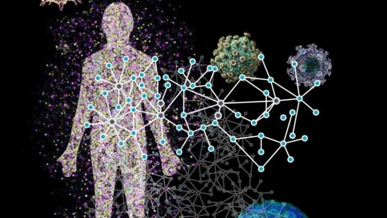 Un marco computacional que infiere las interacciones entre los patógenos y las proteínas humanas, los componentes básicos de los virus y las células. El marco se está utilizando para comprender cómo los virus infectan a los humanos. | SAGI SHAPIRA ep un marco computacional que infiere las interacciones entre los patogenos y las proteinas humanas