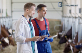 foto campaa veterinarios y su aporte a la sociedad 