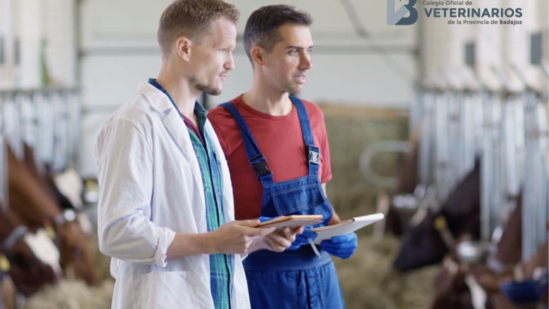 foto campaa veterinarios y su aporte a la sociedad 