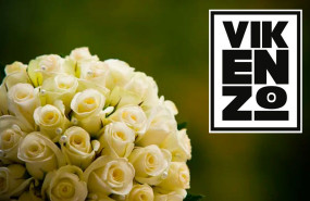 rosas preservadas rosas preservadas