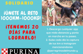 1590483597 purina y perregrinos retocaminosolidario