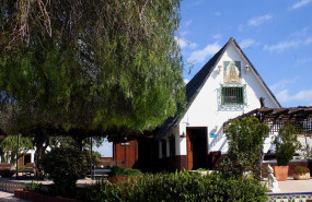 1623749557 entrada 01