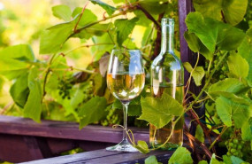 1629710157 beneficios del vino blanco para salud e1432371832203