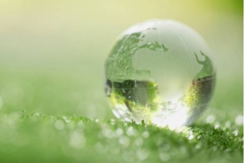 1644402377 labuenahuella