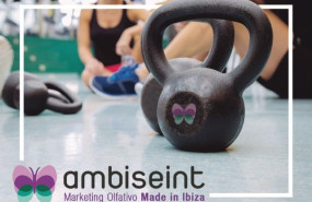 ambiseint 20230130152217