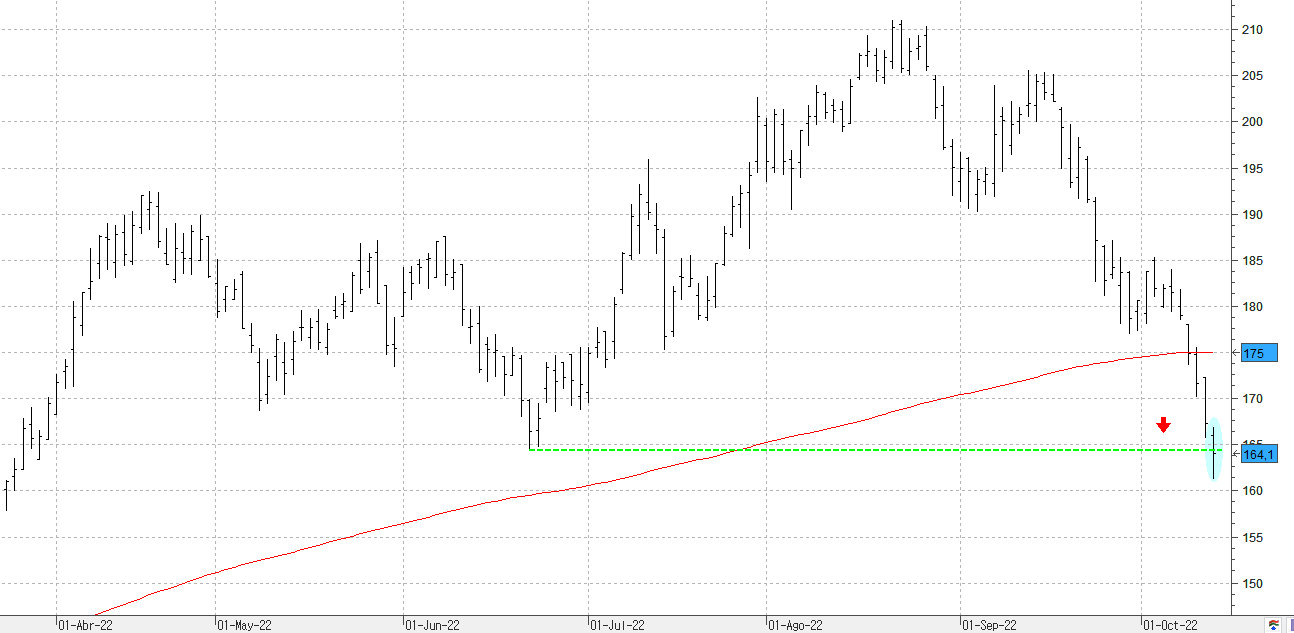 c131022acciona