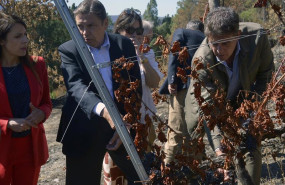 ep archivo   el ministro de agricultura pesca y alimentacion luis planas c visita explotaciones de