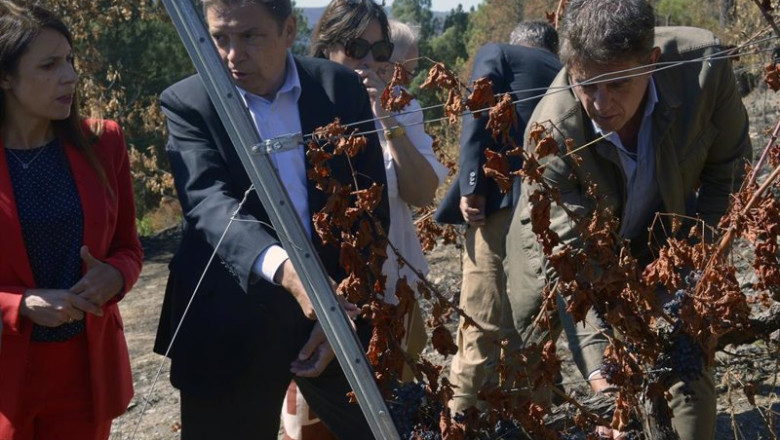 Archivo - El ministro de Agricultura, Pesca y Alimentación, Luis Planas (c), visita explotaciones de las zonas afectadas por los grandes incendios de este verano, en A Rúa, Ourense, Galicia (España). | Rosa Veiga - Europa Press - Archivo ep archivo el ministro de agricultura pesca y alimentacion luis planas c visita explotaciones de