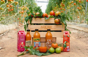 ep archivo   gazpachos y salmorejos de amc natural drinks group