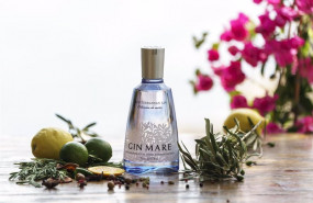 ep archivo   ginebra espanola gin mare