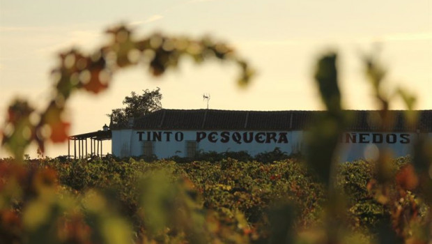ep bodega tinto pesquera