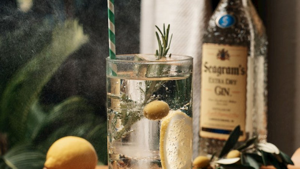ep coctel de seagrams de pernod ricard