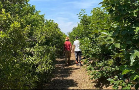 ep dos personas caminan por un cultivo