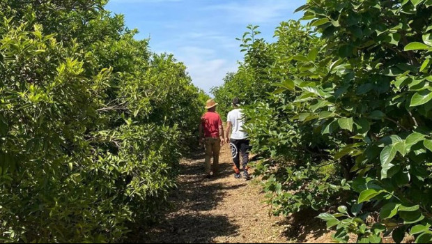 ep dos personas caminan por un cultivo