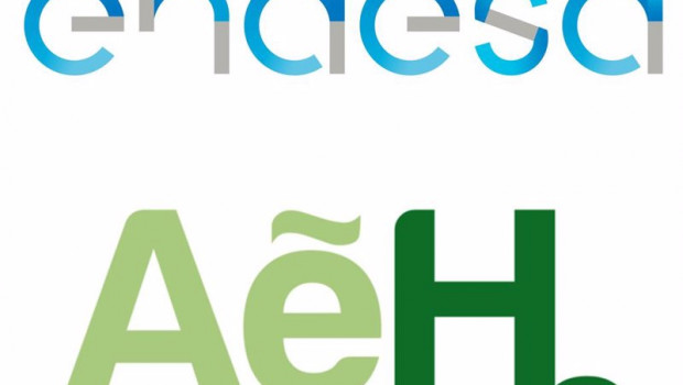 ep endesa se convierte en socio promotor de la asociacion espanola del hidrogeno