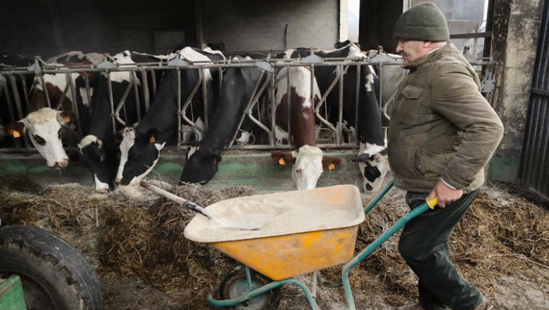 ep ganaderos y agricultores en trabada a 27 de noviembre de 2025 en trabada lugo galicia espana ep ganaderos y agricultores en trabada a 27 de noviembre de 2025 en trabada lugo galicia espana