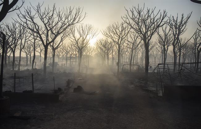 Incendio forestal en Moguer (Huelva) | EUROPA PRESS/A. PÉREZ ep incendio forestalmoguer huelva 20170626120503