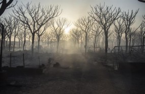 ep incendio forestalmoguer huelva 20170626120503