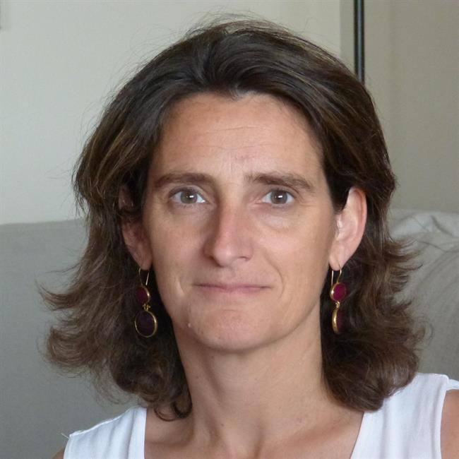 ep teresa ribera directoraiddri