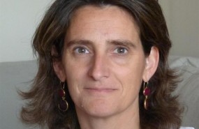 ep teresa ribera directoraiddri
