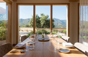 1582198146 mar de fulles2