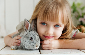 1582673818 girl lying on white surface petting gray rabbit 1462634
