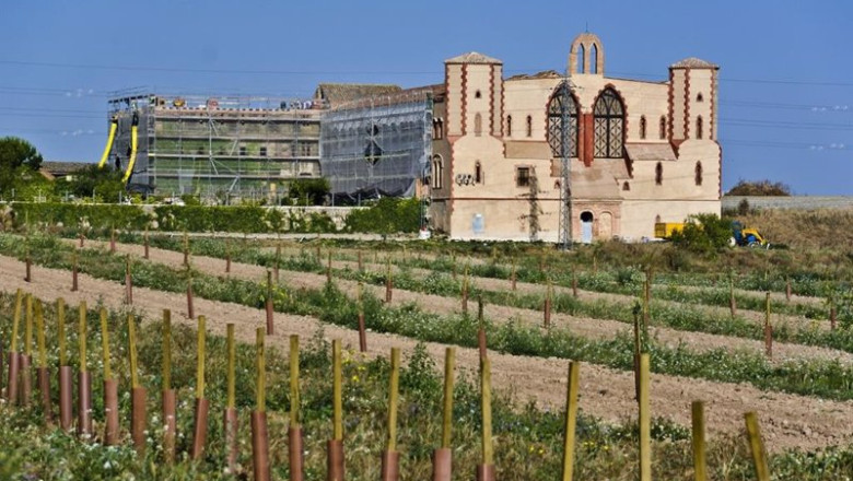 Archivo - El centro neurálgico del grupo Borges, Mas de Colom, en Tàrrega (Lleida) | BORGES - Archivo ep archivo el centro neuralgico del grupo borges mas de colom en trrega lleida