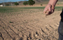 ep archivo   terreno de cultivo afectado por la sequia