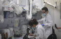 ep archivo   varios trabajadores en el laboratorio de la fabrica de reig jofre en barcelona cataluna