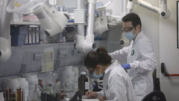 ep archivo   varios trabajadores en el laboratorio de la fabrica de reig jofre en barcelona cataluna