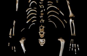 ep esqueletonino neandertal7 anos encontradosidron asturias