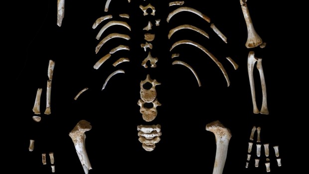 ep esqueletonino neandertal7 anos encontradosidron asturias