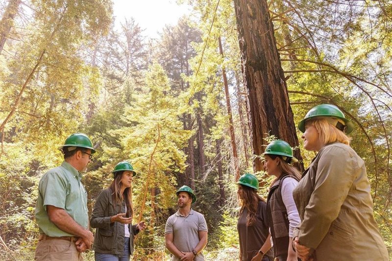 ep hp se asocia con wwf para la proteccion y conservacion del bosque