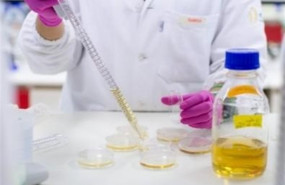 ep investigadores analizan un nuevo compuesto que interrumpe el ciclo de vida del parasito de la ep investigadores analizan un nuevo compuesto que interrumpe el ciclo de vida del parasito de la