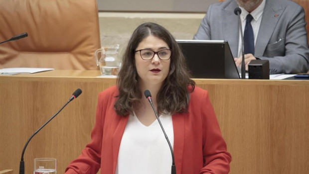 ep la diputada de podemos-equo raquel romero alonso durante su intervencion en la segunda sesion del