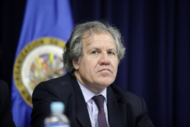 Luis Almagro | FLICKR ep luis almagro 20180210051102