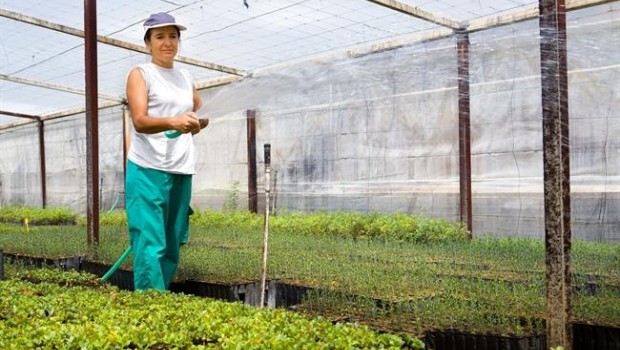 ep notaprensa agricultura invernaderos cadizsevilla